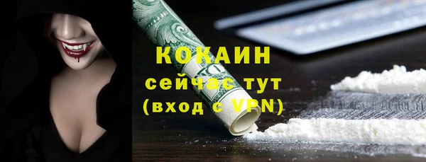 шишки Хадыженск