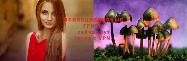 МДМА Кинешма