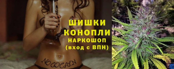 шишки Хадыженск