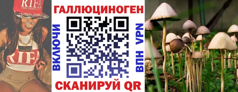 как найти закладки  KRAKEN вход  Галлюциногенные грибы прущие грибы  Мурманск 