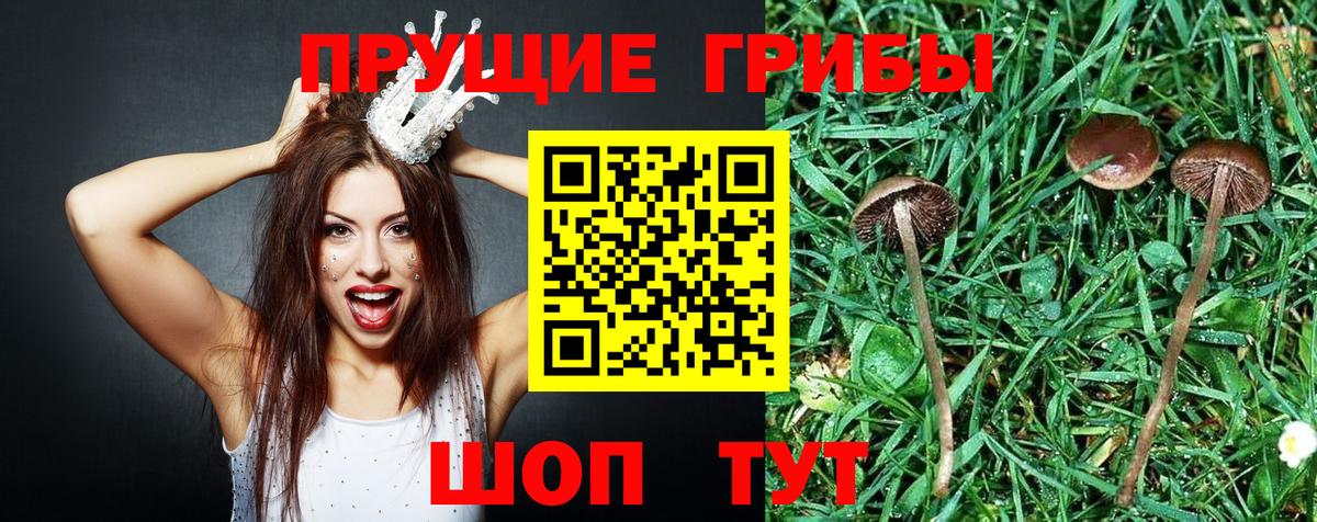 Галлюциногенные грибы прущие грибы  Вход с VPN  наркотики  Мурманск 