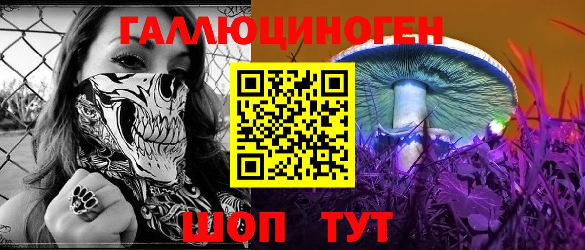 Галлюциногенные грибы мухоморы Мурманск